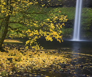 waterfall in Silver Falls State Park