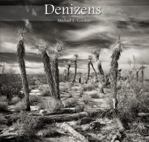 Michael Gordon Denizens Book