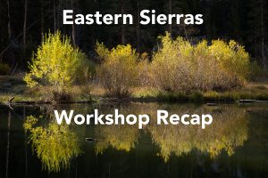 Eastern Sierras Workshop Recap