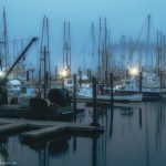 OREGON COAST harbour