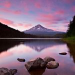 Trilium Sunset Pinks